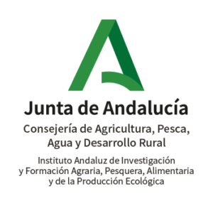 Oferta