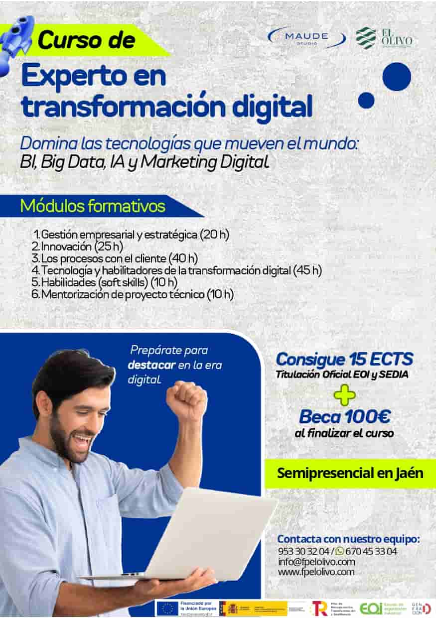 Experto en transformación digital