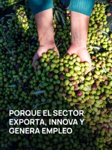 Gestión administrativa sector del aceite de oliva